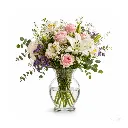 2.webp