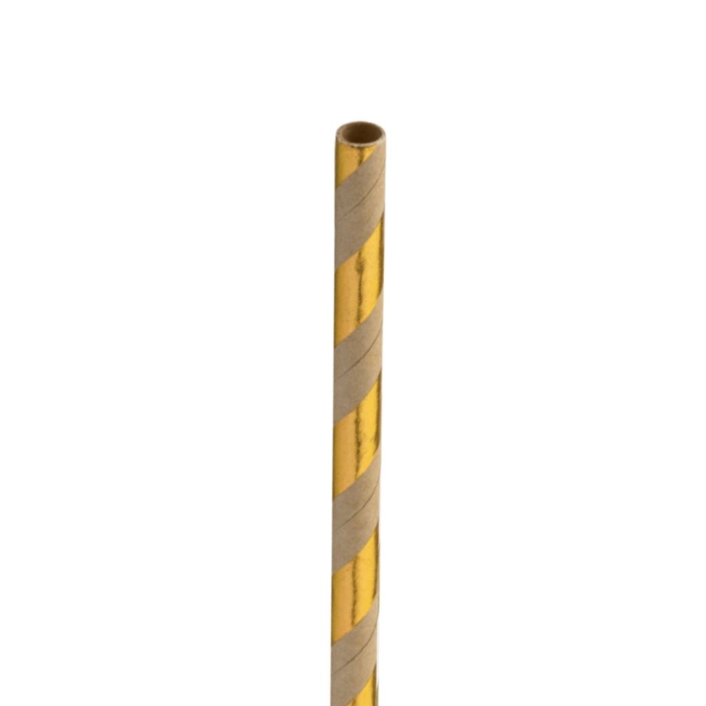 [F90169] Paper Gold/Craft Straw 8in