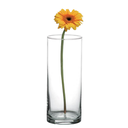 Chipinque Cylinder vase 9.5in (24cm)|