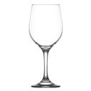 Fame Copa Multi 16.5oz (480ml)