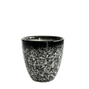 Koishi Cup 7oz (210ml)