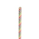 Paper Multi Stripe Straw 8in (20cm)
